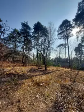 Участок в Санкт-Петербург Ольгино тер., ул. Коммунаров, 49 (14.5 сот.)