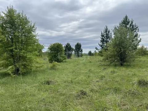 Участок в Алтай, Майминский район, с. Подгорное Центральная ул. (6.3 ...