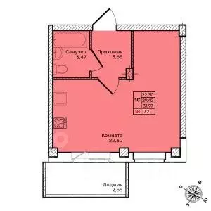 Студия Псковская область, Псков Техническая ул., 2 (31.97 м)