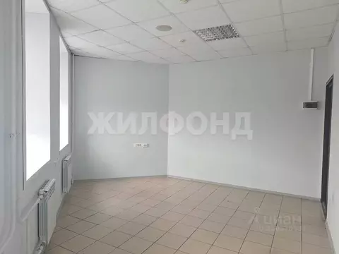 Офис в Новосибирская область, Новосибирск ул. Чаплыгина, 2/1 (17 м)