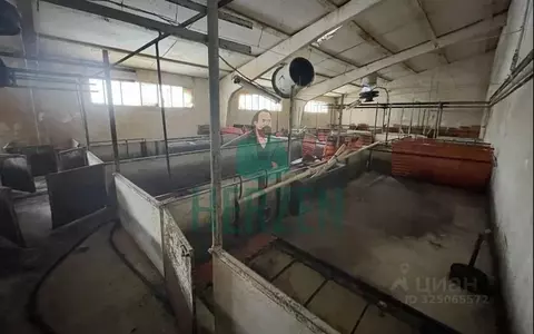 Производственное помещение в Москва д. Кузнецово,  (40000 м)