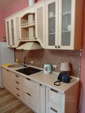 3-к кв. Приморский край, Владивосток Садгородская ул., 13 (75.3 м)