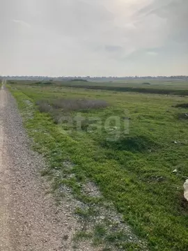 Участок в Крым, Сакский район, Суворовское с/пос, Мечта СНТ ул. ...