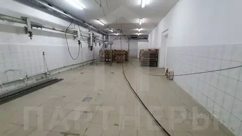 Помещение свободного назначения в Краснодарский край, Краснодар пос. ...