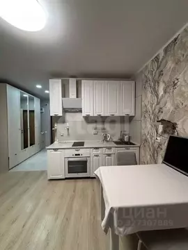 Студия Тюменская область, Тюмень ул. Фармана Салманова, 4 (27.0 м)