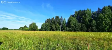 Участок в Пермский муниципальный округ, деревня Пашня (15 м)