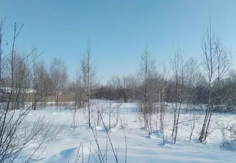 Участок в Московская область, Дмитровский муниципальный округ, д. ...