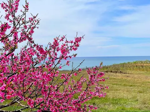Участок в Севастополь с. Орловка, ш. Качинское, 57/17 (7.8 сот.)