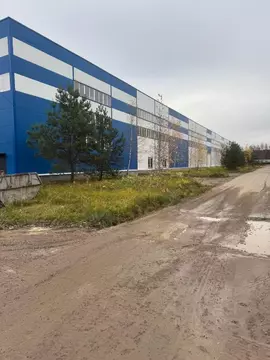 Помещение свободного назначения в Московская область, Домодедово Белые ...