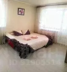 1-к кв. Тамбовская область, Тамбов Мичуринская ул., 91 (35.0 м)