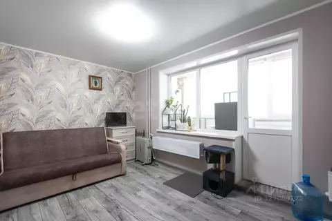 Студия Новосибирская область, Бердск ул. Гранитная, 14 (27.0 м)