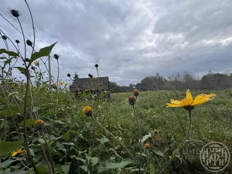 Участок в Ленинградская область, Лужский район, д. Ретюнь  (18.0 сот.)