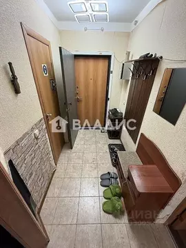 1-к кв. Санкт-Петербург Дунайский просп., 55к1 (33.5 м)