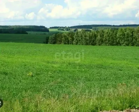 Участок в Ярославская область, Ярославский муниципальный округ, д. ...