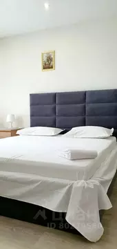 1-к кв. Алтайский край, Барнаул просп. Ленина, 27А/64А (30.0 м)