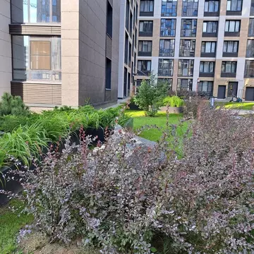 1-к кв. Санкт-Петербург ул. Тосина, 6 (41.9 м)