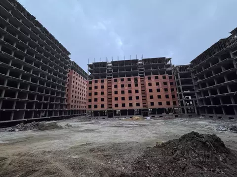 Студия Дагестан, Махачкала ул. Примакова, 26 (28.0 м)