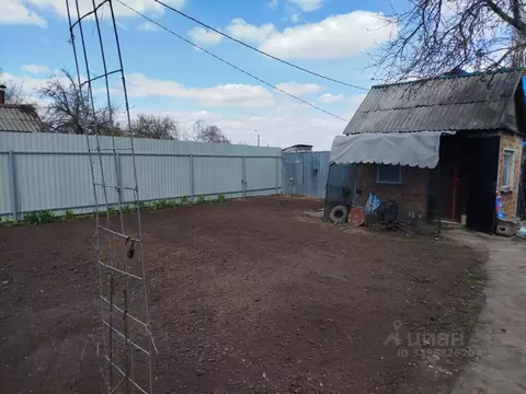 Участок в Белгородская область, Строитель Яковлевский городской округ, ...