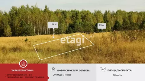 Участок в Владимирская область, Петушинский район, Нагорное ...