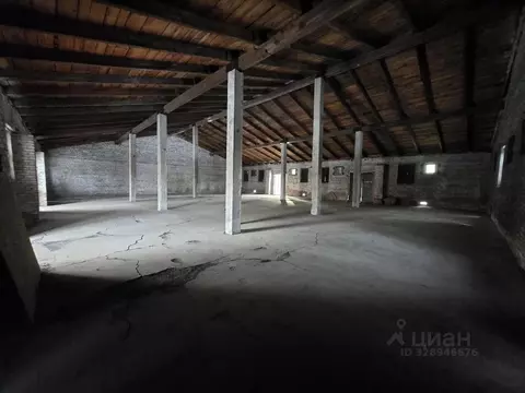 Помещение свободного назначения в Красноярский край, Красноярск ул. 26 ...