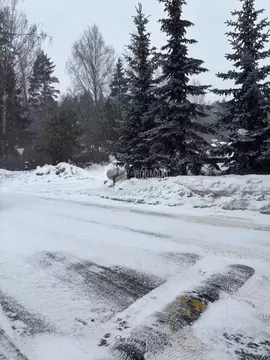 3-к кв. Московская область, Апрелевка Наро-Фоминский городской округ, ...