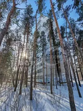 1-к кв. Воронежская область, Воронеж Южно-Моравская ул., 15а (32.6 м)