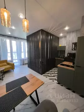 Студия Самарская область, Самара Революционная ул., 103А (29.0 м)