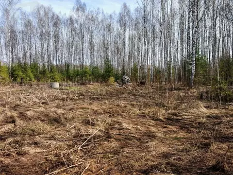 Участок в Московская область, Истра муниципальный округ, д. Карасино ...