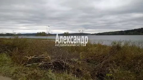 Участок в Карелия, Сортавальский муниципальный округ, пос. Лавиярви  ...