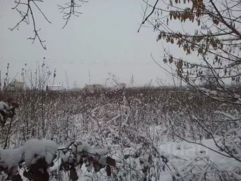 Участок в Курская область, Курский район, Камышинский сельсовет, д. ...