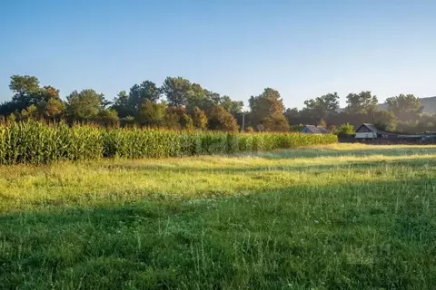 Участок в Краснодарский край, Апшеронский район, Новополянское с/пос, ...