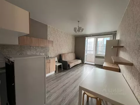 Студия Московская область, Балашиха ш. Косинское, 5/7 (24.4 м)