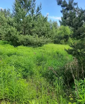 Участок в Удмуртия, Завьяловский район, Соловушки ДНТ  (1.0 сот.)