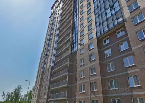 Студия Санкт-Петербург ул. Ивинская, 19к1 (35.5 м)