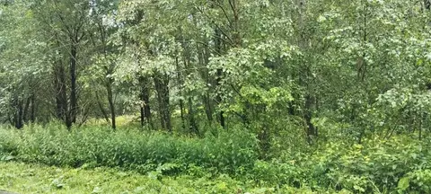 Участок в Московская область, Можайский муниципальный округ, д. ...