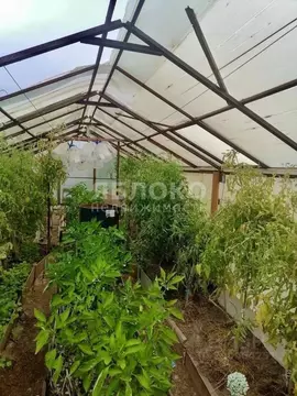 Дом в Пермский край, Березники № 43 СНТ, 41 (10 м)