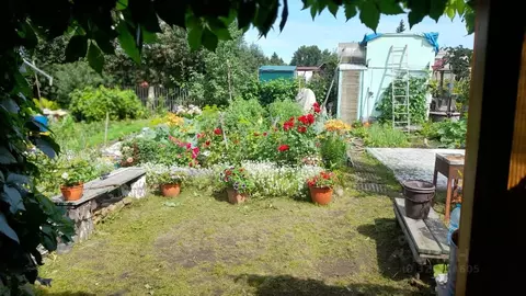 Дом в Омская область, Омск Космос СНТ, аллея 7-я (38 м)