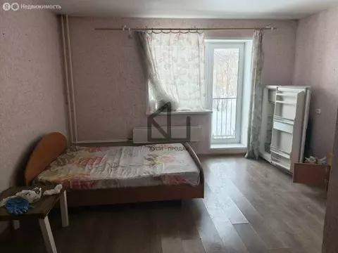 Квартира-студия: село Долгодеревенское, улица 1 Мая, 131А (23.4 м)