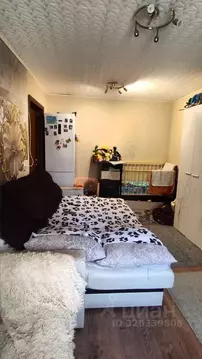 Комната Воронежская область, Воронеж ул. Любы Шевцовой, 21 (17.0 м)