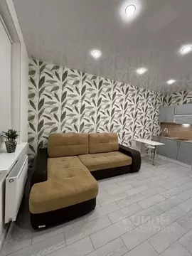 Студия Санкт-Петербург пос. Парголово, Заречная ул., 17 (27.0 м)