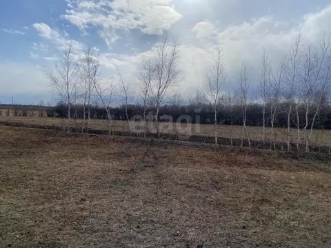 Участок в Саха (Якутия), Якутск городской округ, с. Тулагино ул. Е.А. ...