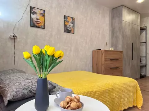 Студия Нижегородская область, Нижний Новгород Краснозвездная ул., 6 ...