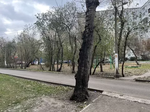 Студия Красноярский край, Красноярск Зеленая Роща мкр, ул. Воронова, ...