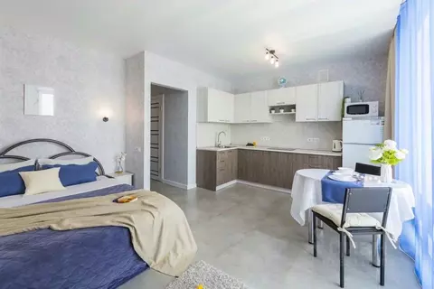 1-к кв. Алтайский край, Барнаул Песчаная ул., 171 (28.0 м)