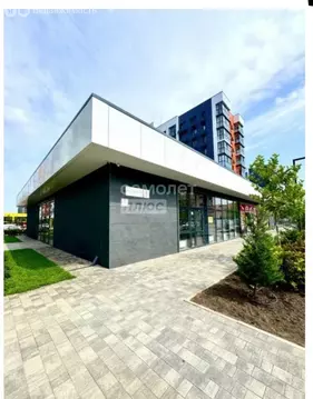 Помещение свободного назначения (250.6 м)