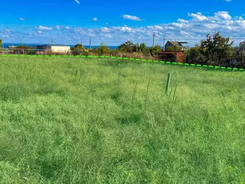 Участок в Крым, Ленинский район, Заветненское с/пос, Пантикапей СПК  ...
