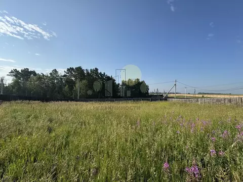 Участок в Иркутская область, Иркутский муниципальный округ, д. Карлук ...