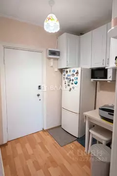 Студия Воронежская область, Воронеж ул. Урицкого, 90 (18.6 м)