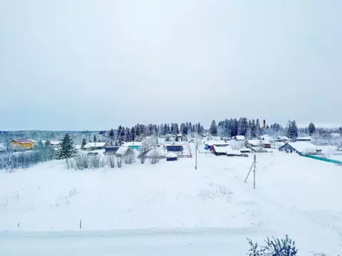 Участок в Вологодская область, д. Алексино (Кипеловский сельсовет)  ...