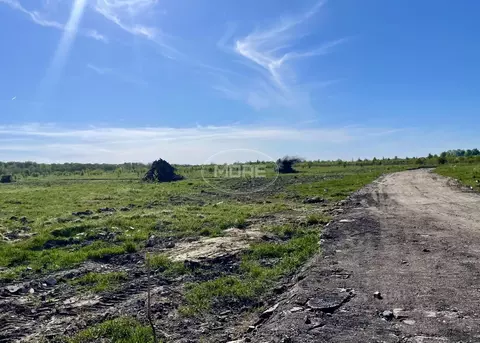 Участок в Калининградская область, Гурьевский муниципальный округ, ...